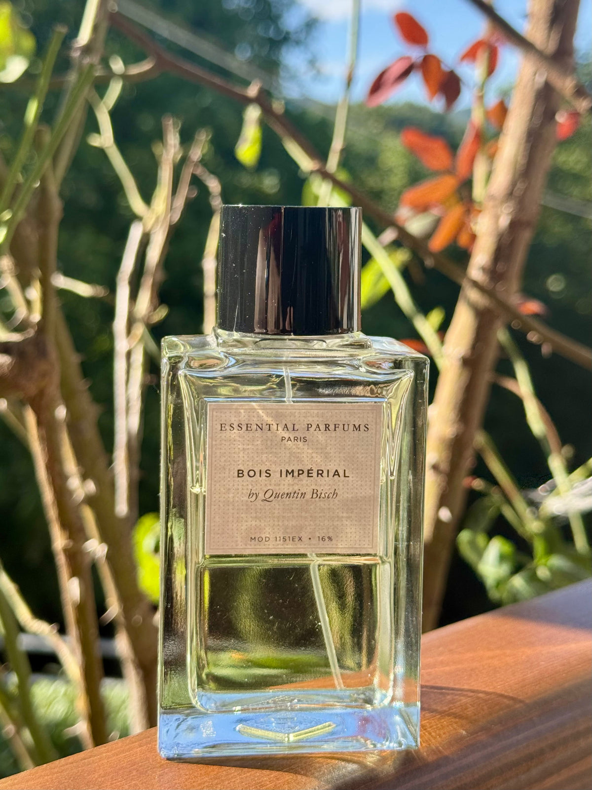 A clear glass perfume bottle with a black cap and a beige label reading 'ESSENTIAL PARFUMS PARIS BOIS IMPERIAL by Quentin Bisch', placed on a wooden surface with blurred greenery and branches in the background.