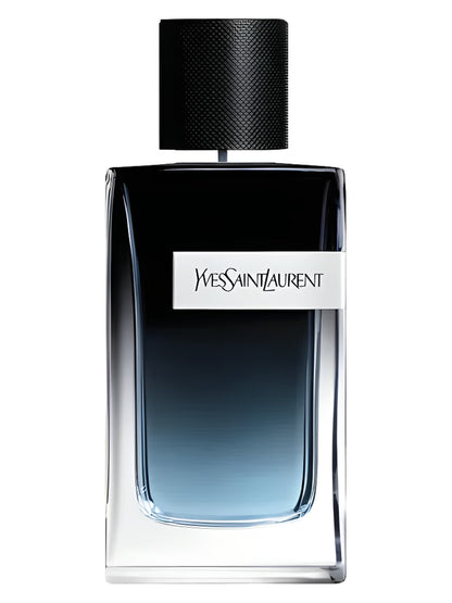 Ysl - Y (Decant)