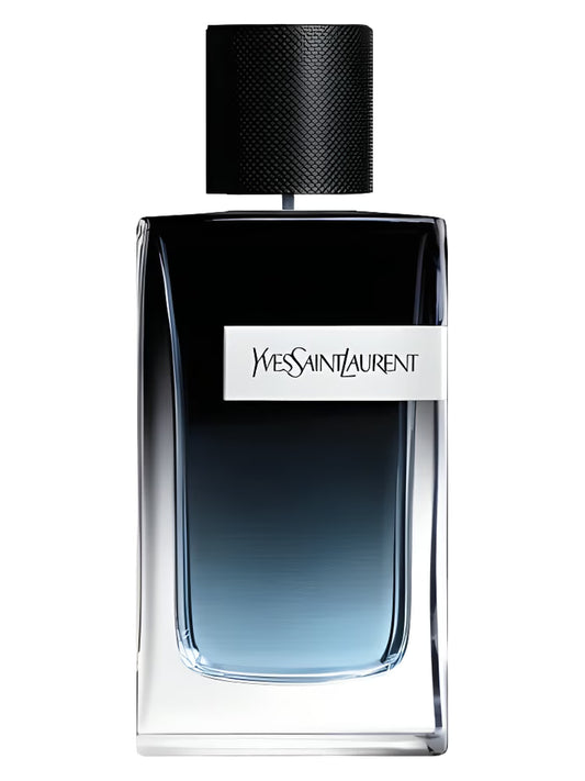 Ysl - Y (Decant)