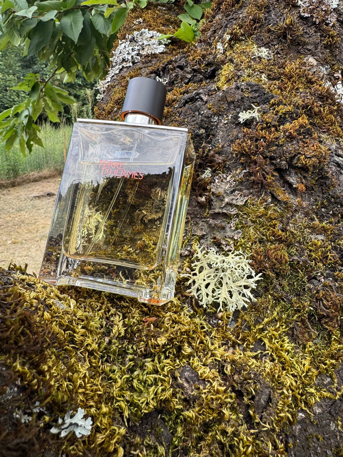 Terre d'Hermès