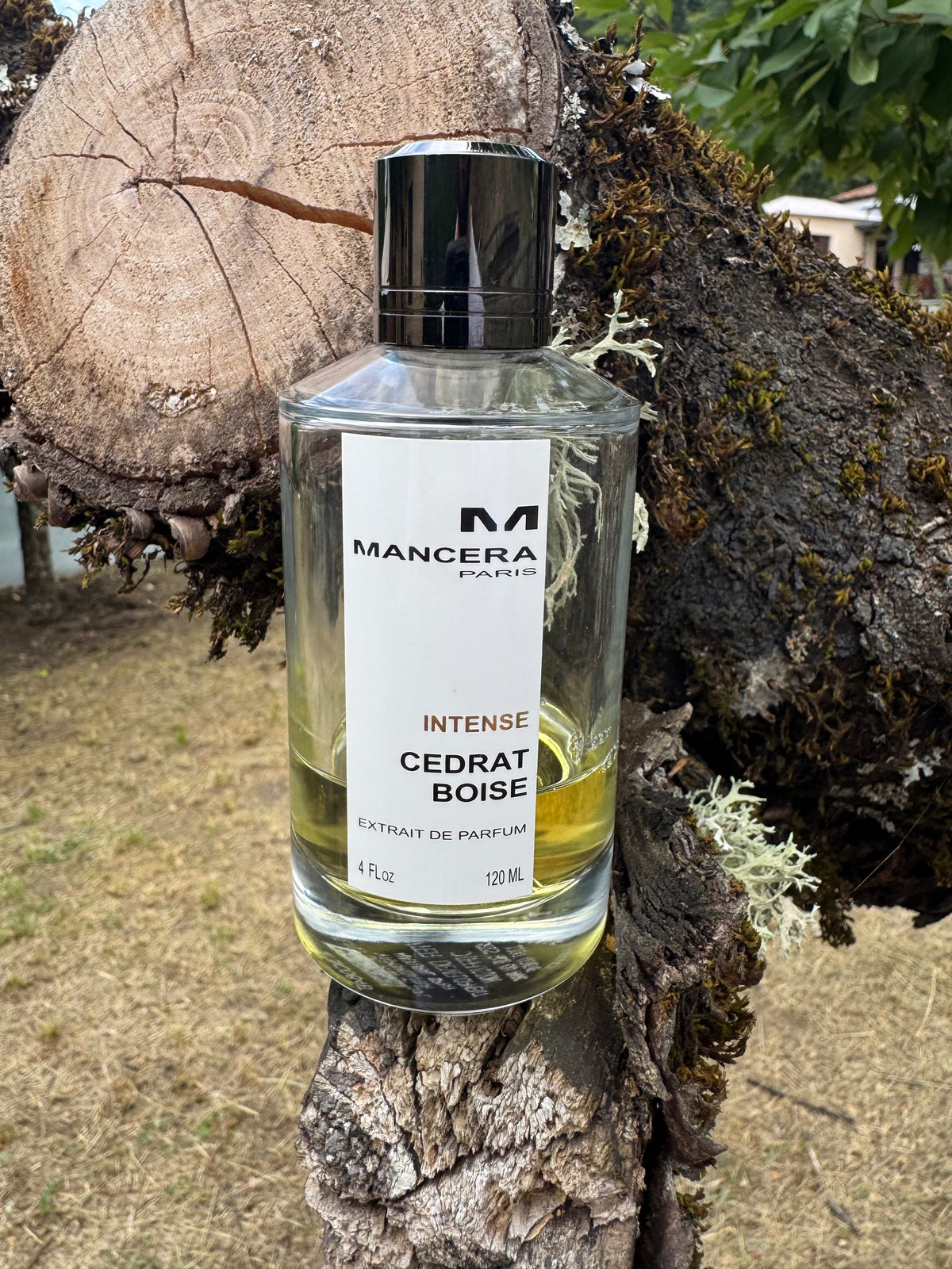 A bottle of Mancera Paris Intense Cedrat Boise perfume placed on a mossy tree stump outdoors, with a cut tree trunk and grassy ground in the background.